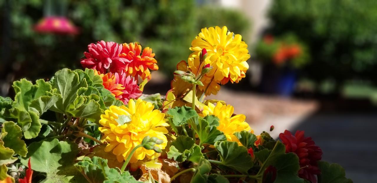 Adobe Hacienda Bed&Breakfast Sedona Exterior foto